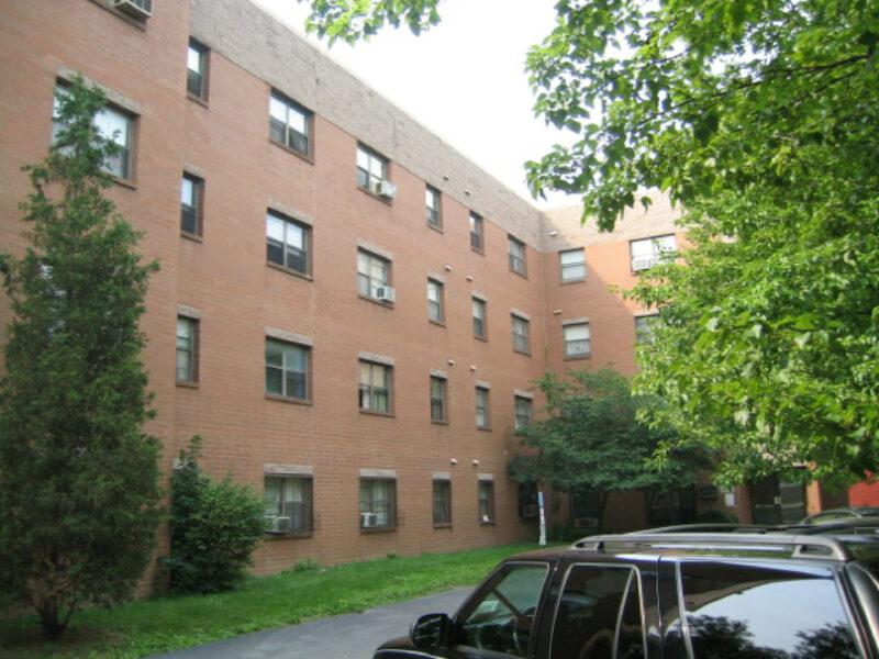 Vistula2 629 Locust 1