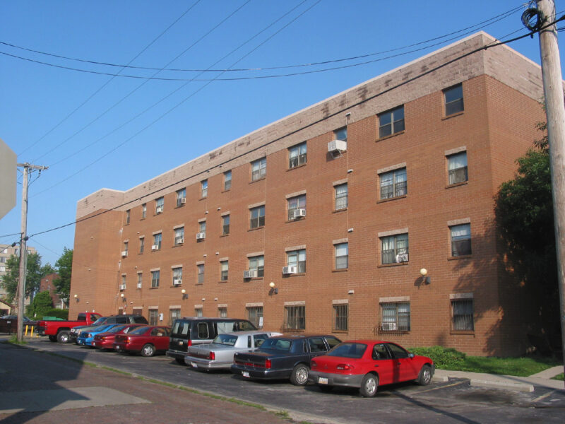 Vistula2 629 Locust 2