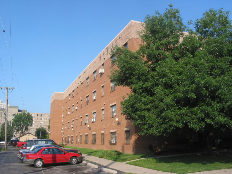 Vistula2 629 Locust 3