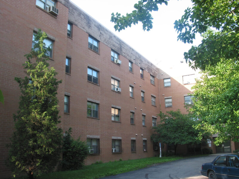 Vistula2 629 Locust 5